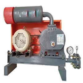 Biogas Roots Blowers