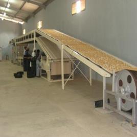 Industrial Biscuit Cooling Conveyor