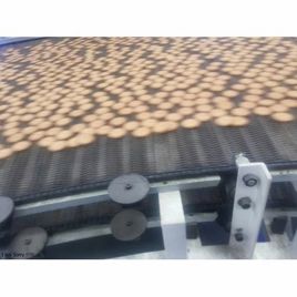 Automatic Biscuit Cooling System