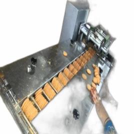 Semi-Automatic Biscuit Packaging Equipment