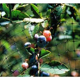 Black Fiber Mesh Agricultural Bird Netting