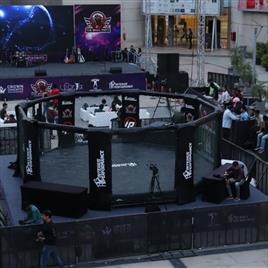 Black Cage Boxing Ring 24x24