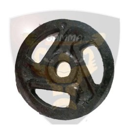 Cast Iron Gym Plates