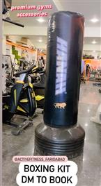 Black Professional Standing Punch Bag