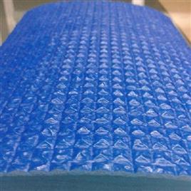 Blue Bubbel Floor Safety Cover