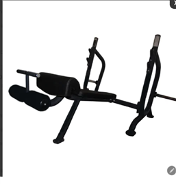 Bodytec D06 Olympic Decline Machine