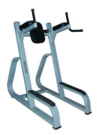 Bodytec Manual Knee Raise Machine