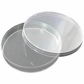 Borosilicate Glass Petri Dish, Laboratory Use