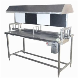 Bottle Inspection Conveyor, 2 kW