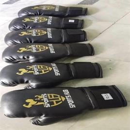 Standard Boxing Equipment