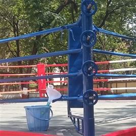 Boxing Ring BWS 99