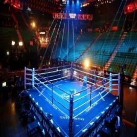 Boxing Ring Set 24x24