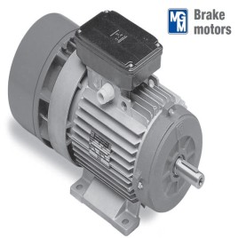 MGM Brake Motor