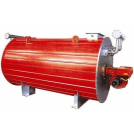 BSJS MS Electric Gas Fired Boiler