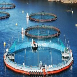 Aquaculture Cage Setup Service