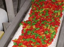 Candy Production Facility