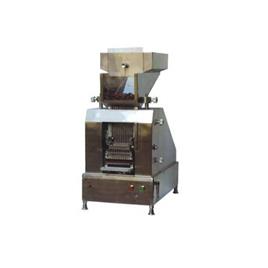 Capsule Filling Equipment