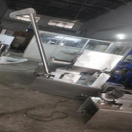 Capsule Sorter Elevator (Semi-Automation)