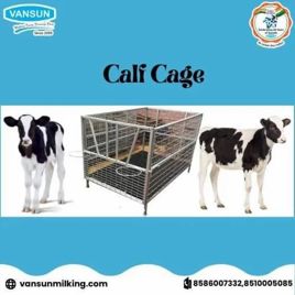 Carbon Steel Dairy Calf Cages