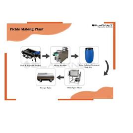 Carrot Pickle Production Plant