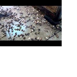 Manual Cashew Nut Slicer