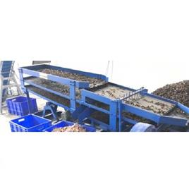Cashew Kernel Scooping Line