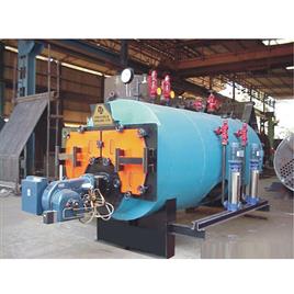 Wood Fired Steam Boilers