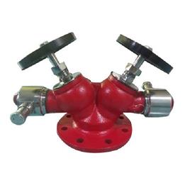 Cast Iron Double Fire Hydrant Valve