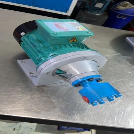 Cast Iron AC Rotary Pump