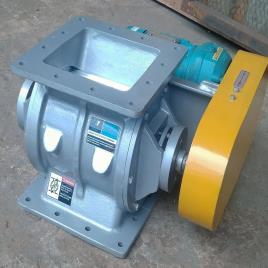 Cast Iron Air Rotary Valve