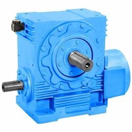 Automotive Worm Reduction Gearbox