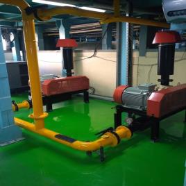 Cast Iron Twin Lobe Roots Air Blower