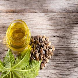 Castor Oil