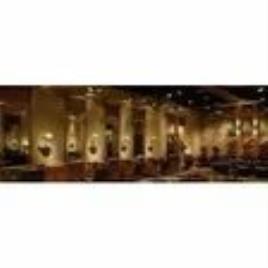 IP Network Surveillance Camera