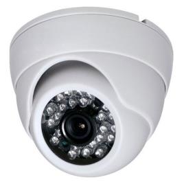 CMOS Indoor/Outdoor Dome Camera