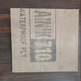 Century Ply Sainik 710 Marine Plywood, Furniture, 18 mm