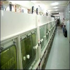 Industrial Chamber Etching Equipment