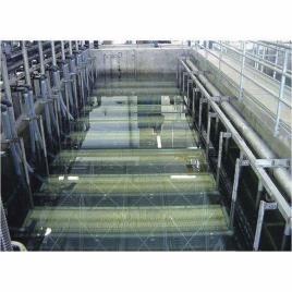 Borewell Water Purification Bioreactor