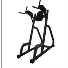 Commercial Chest Dip Station