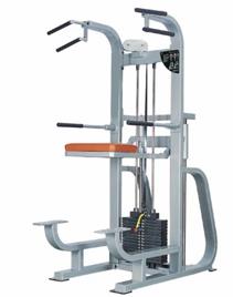 Chin Dip Workout Machine