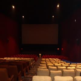 Cinema Hall Sound System Installation