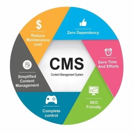 CMS Design and Development Service