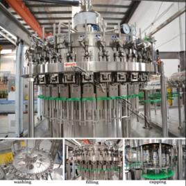 CO2 Rinsing Filling Capping Machine