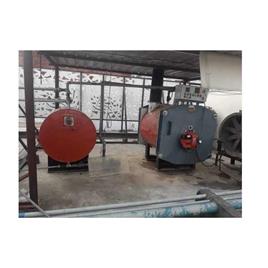Coal Fired IBR Approved Boiler