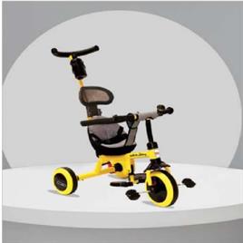 Coaster Style Tricycle