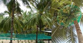 Coconut Green Safety Net 10m