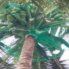 HDPE Coconut Tree Protection Net
