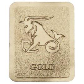 Cogent Radiation Shield Mobile Chip