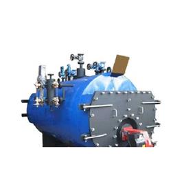 Coil Type Oil Fired Boiler
