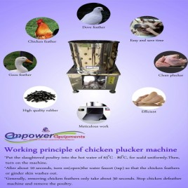 Commercial Feather Cleaning Machine, Coimbatore